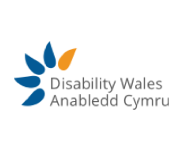 Disability Wales
